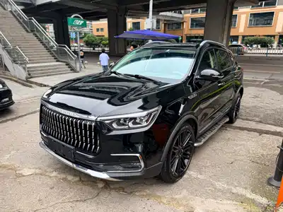 Leopaard Mattu 2019