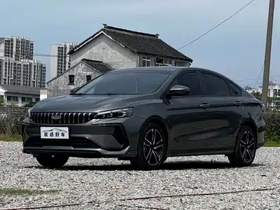 Geely Binrui 2024