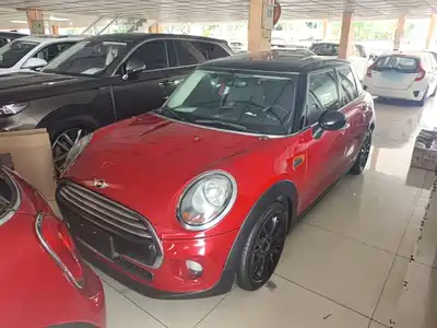 MINI MINI 2015