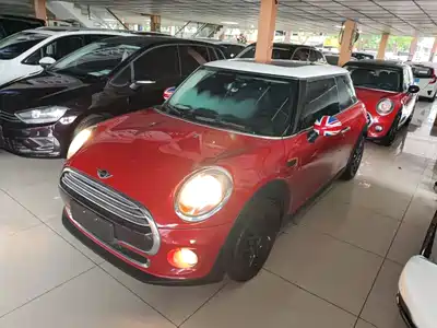 MINI MINI 2017