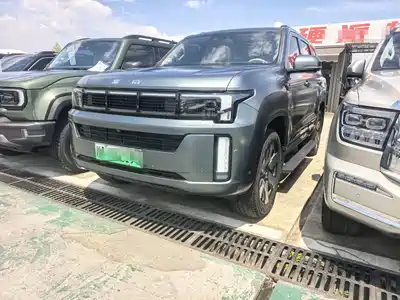 BAIC ORV BJ60 Leiting 2024