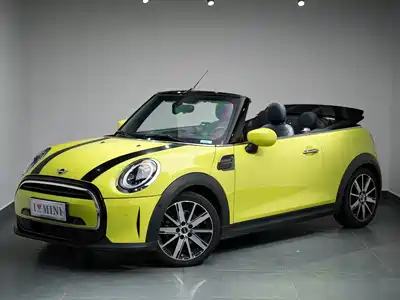 MINI MINI 2022