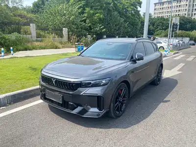 Voyah Auto FREE 2025