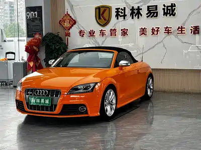 Audi TTS 2010