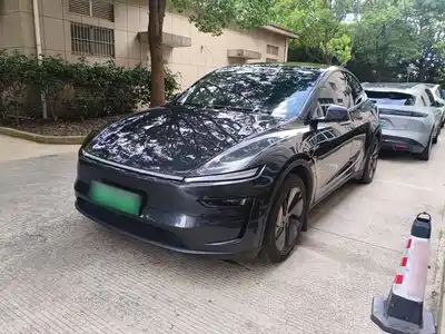 Tesla Model Y 2025