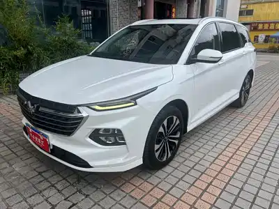 Wuling Motors Victory 2021