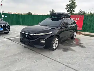 Baojun Valli 2021