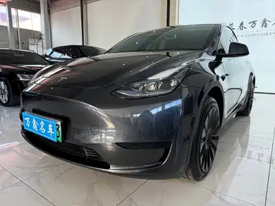 Tesla Model Y 2024