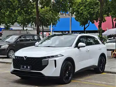 Venucia Big V 2021