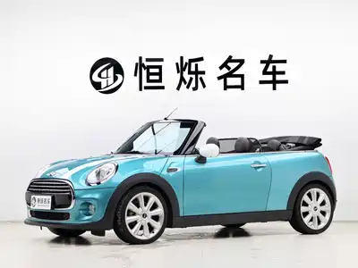MINI MINI 2017