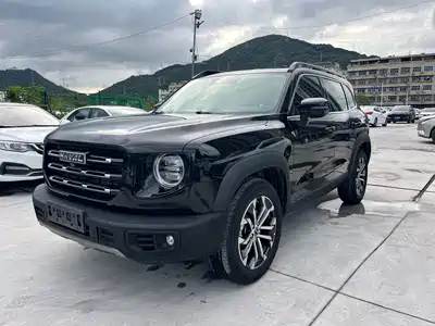 Haval Big Dog 2022
