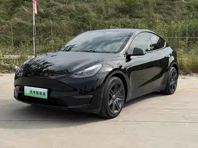 Tesla Model Y 2021