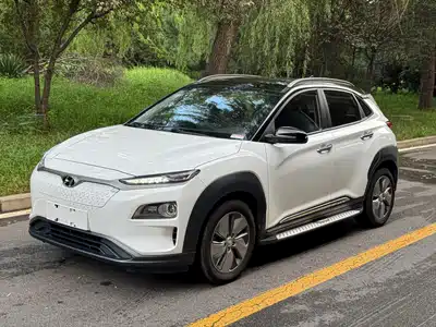 Hyundai Encino Pure Electric 2021