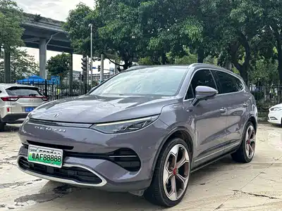 Denza X 2020