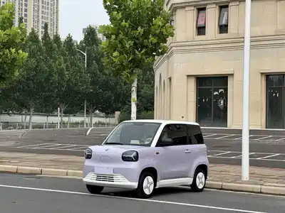 Zhido Rainbow 2025
