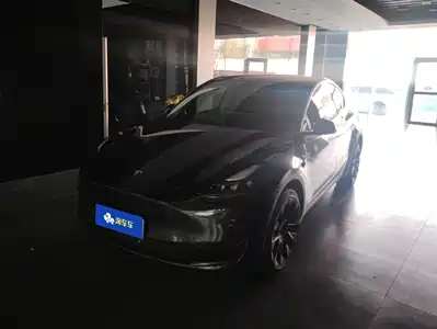 Tesla Model Y 2024