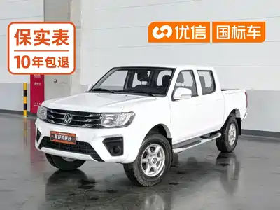 Dongfeng Ruiqi 2022