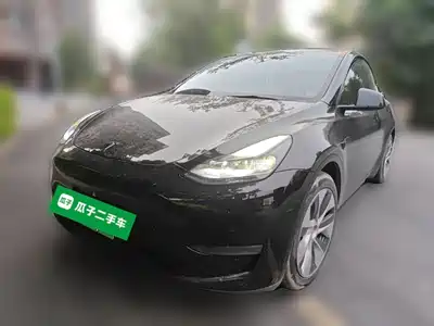 Tesla Model Y 2021