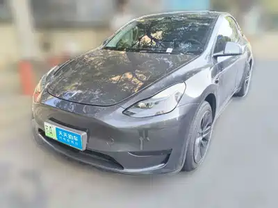 Tesla Model Y 2025
