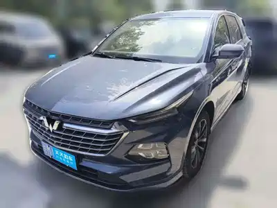 Wuling Motors Victory 2021