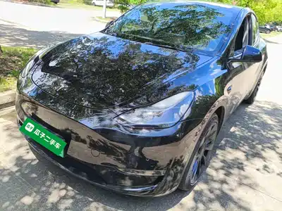 Tesla Model Y 2021