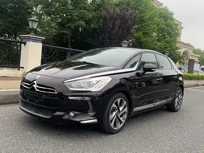DS 5 2015