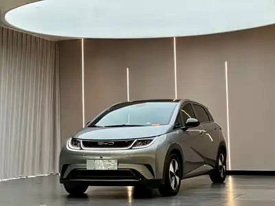 BYD Dolphin 2023