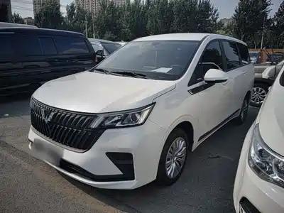 Wuling Motors Jiachen 2024
