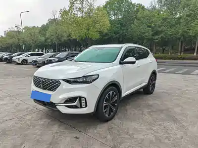 WEY VV6 2021