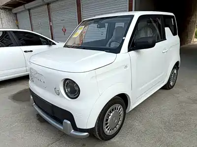 Ruilan Auto Blue Elf 2026