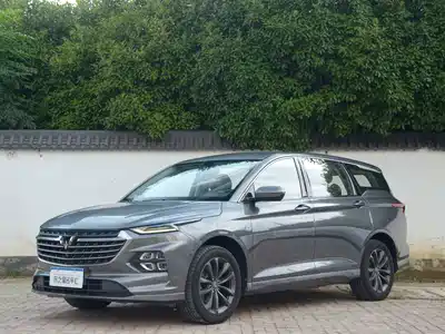 Wuling Motors Victory 2021