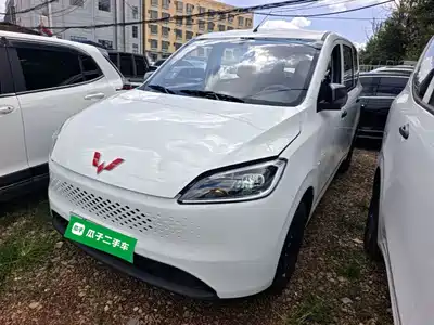 Wuling Motors Hongguang New Energy 2026