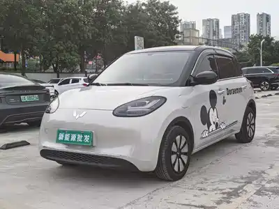 Wuling Motors Bingo 2024