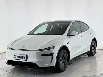 Tesla Model Y 2025