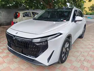 Venucia DaV DD-i 2024