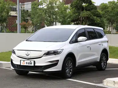 Ruilan Auto Maple 80v 2024