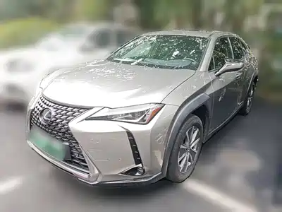 Lexus UX300e 2021