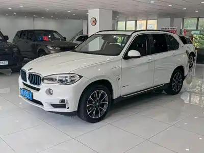 BMW X5 New Energy(Imported) 2020