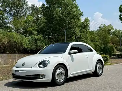 Volkswagen Beetle 2014