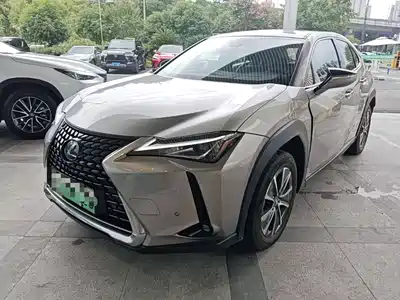 Lexus UX300e 2021