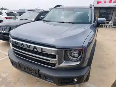 Haval Big Dog 2025
