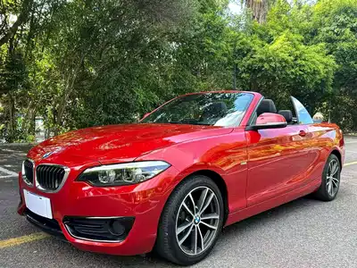 BMW 2 Series (Import) 2019
