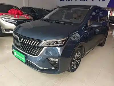 Wuling Motors Jiachen 2022