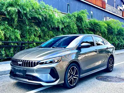 Geely Binrui 2023