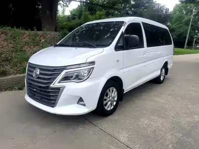 Dongfeng Fengxing Lingzhi 2020