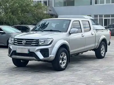 Dongfeng Ruiqi 2022