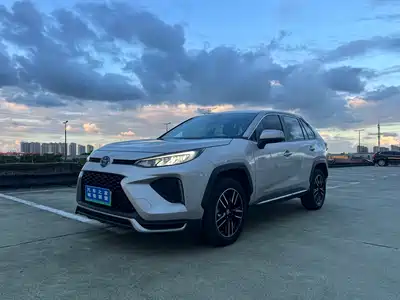 Toyota Wildlander New Energy 2021