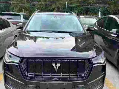Zotye T700 2018