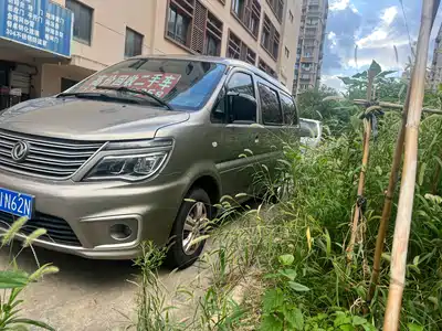 Dongfeng Fengxing Lingzhi 2020
