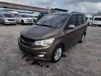 Wuling Motors Hongguang 2016
